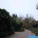 efteling-04-12-2022-197.jpg
