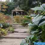 efteling-04-12-2022-201.jpg