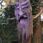 efteling-04-12-2022-230.jpg