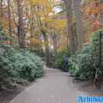 efteling-04-12-2022-241.jpg