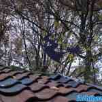 efteling-04-12-2022-255.jpg