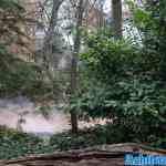 efteling-04-12-2022-268.jpg