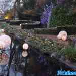 efteling-04-12-2022-306.jpg