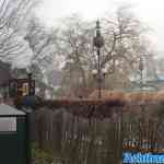 efteling-17-12-2022-014.jpg