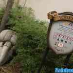 efteling-17-12-2022-034.jpg