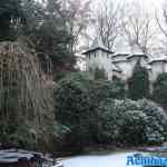 efteling-17-12-2022-061.jpg