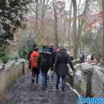 efteling-17-12-2022-067.jpg