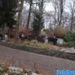 efteling-17-12-2022-073.jpg