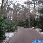 efteling-17-12-2022-087.jpg