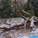 efteling-17-12-2022-088.jpg