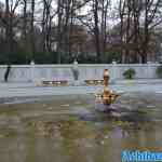 efteling-17-12-2022-111.jpg
