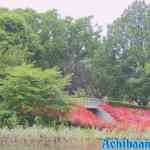 eftreling-19-06-2021-053.jpg
