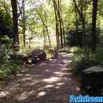 efteling-31-08-2021-031.jpg