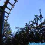 efteling-08-09-2021-050.jpg