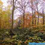 efteling-17-11-2021-026.jpg