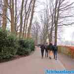 efteling-01-01-2020-008.jpg