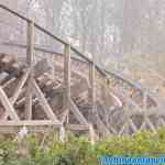 efteling-01-01-2020-029.jpg