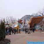efteling-01-01-2020-054.jpg
