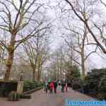 efteling-01-01-2020-056.jpg