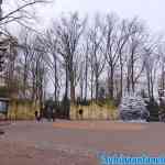 efteling-01-01-2020-063.jpg
