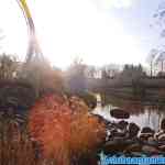 efteling-18-01-2020-033.jpg