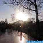 efteling-18-01-2020-038.jpg