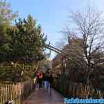 efteling-18-01-2020-041.jpg