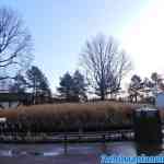 efteling-18-01-2020-050.jpg