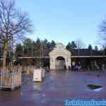 efteling-18-01-2020-051.jpg