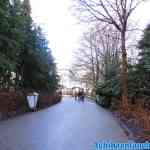 efteling-18-01-2020-070.jpg
