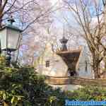 efteling-18-01-2020-085.jpg