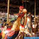 efteling-18-01-2020-095.jpg