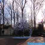 efteling-18-01-2020-111.jpg