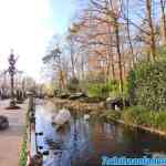 efteling-18-01-2020-112.jpg