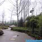 efteling-22-01-2020-003.jpg