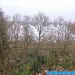 efteling-22-01-2020-009.jpg