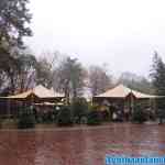 efteling-07-12-2020-003.jpg