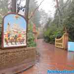 efteling-07-12-2020-006.jpg