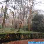 efteling-07-12-2020-007.jpg