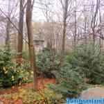 efteling-07-12-2020-015.jpg