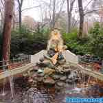 efteling-07-12-2020-022.jpg