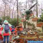 efteling-07-12-2020-024.jpg