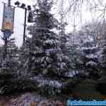 efteling-07-12-2020-049.jpg