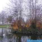 efteling-07-12-2020-062.jpg