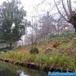 efteling-07-12-2020-067.jpg