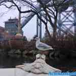 efteling-07-12-2020-069.jpg
