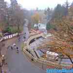 efteling-07-12-2020-082.jpg