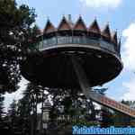 efteling-06-07-2019-059.jpg