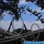 efteling-06-07-2019-077.jpg