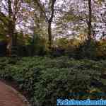 efteling-16-11-2019-025.jpg